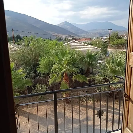 Delphi View *